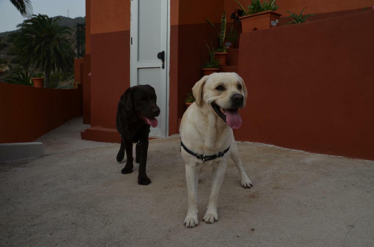 Casa Camilo Pensionat Vallehermoso Eksteriør billede